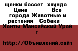 щенки бассет- хаунда › Цена ­ 20 000 - Все города Животные и растения » Собаки   . Ханты-Мансийский,Урай г.